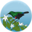 Casa de Beija Flor